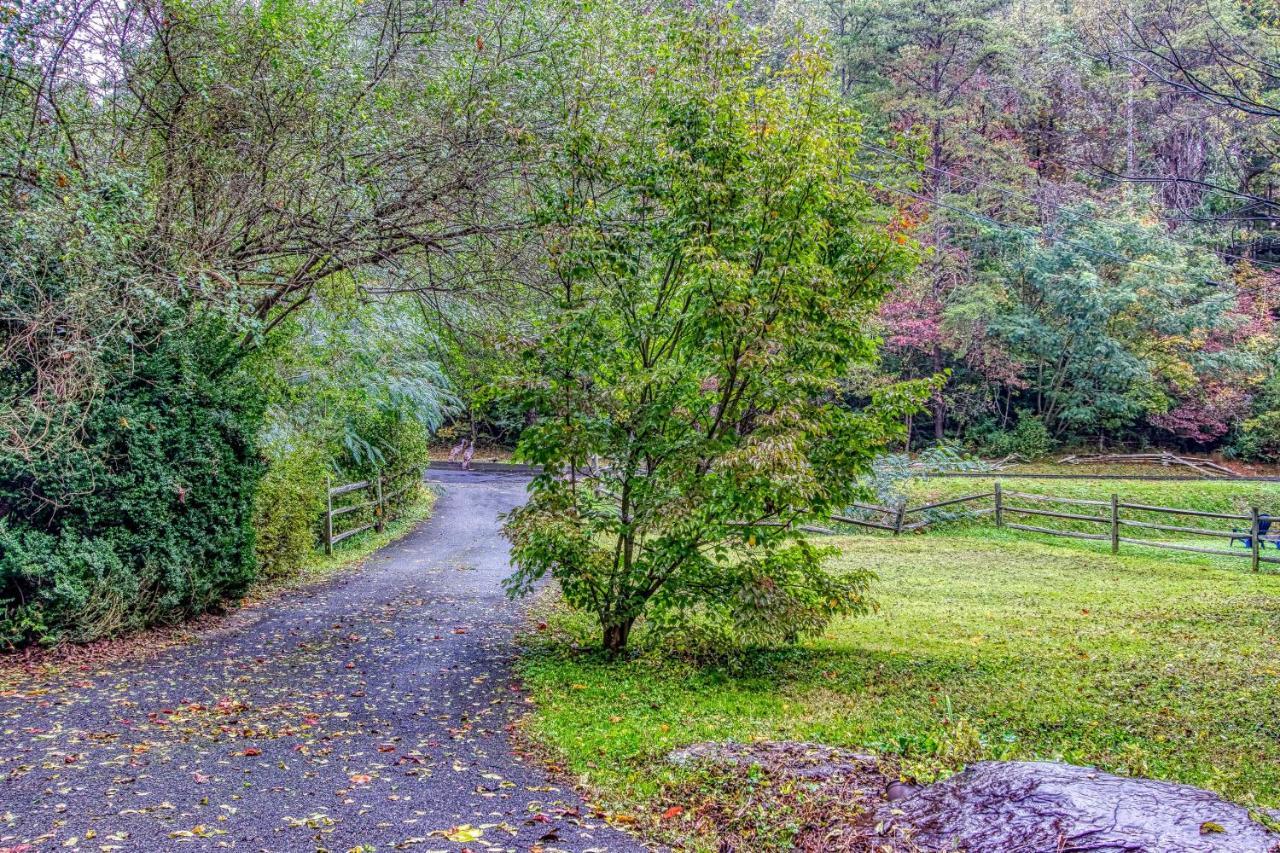 Cozy Creek Cabin พิเจนฟอร์จ ภายนอก รูปภาพ