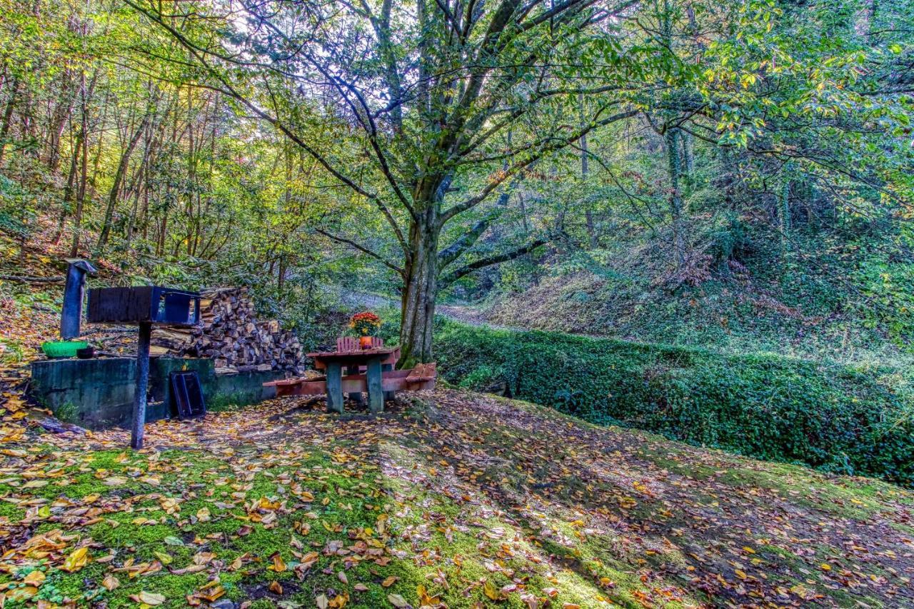 Cozy Creek Cabin พิเจนฟอร์จ ภายนอก รูปภาพ
