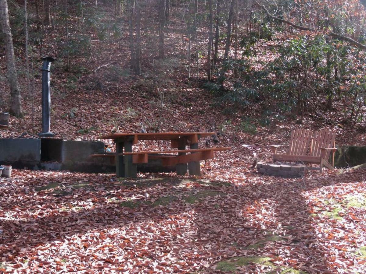 Cozy Creek Cabin พิเจนฟอร์จ ภายนอก รูปภาพ