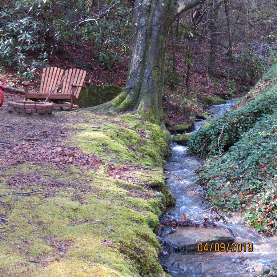 Cozy Creek Cabin พิเจนฟอร์จ ภายนอก รูปภาพ