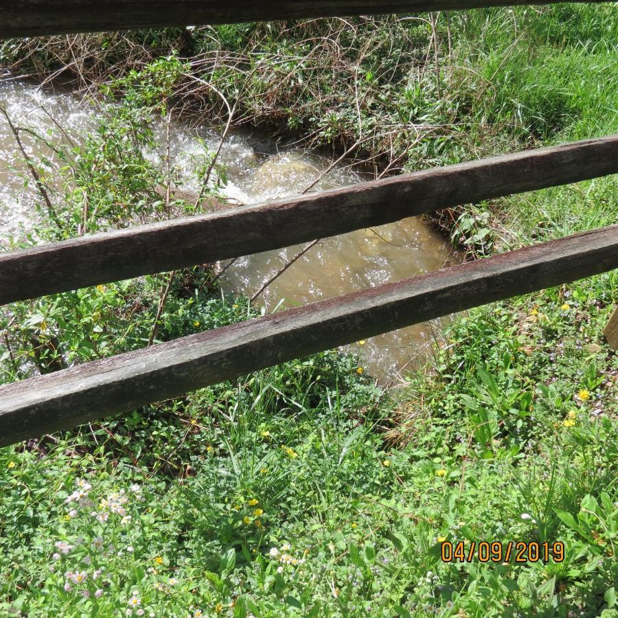 Cozy Creek Cabin พิเจนฟอร์จ ภายนอก รูปภาพ