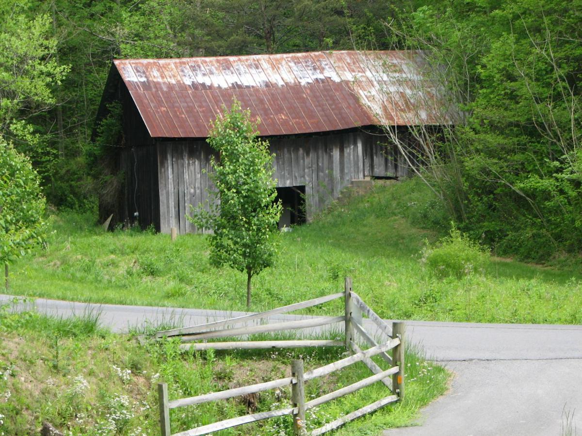 Cozy Creek Cabin พิเจนฟอร์จ ภายนอก รูปภาพ